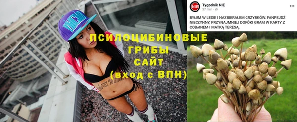 spice Баксан