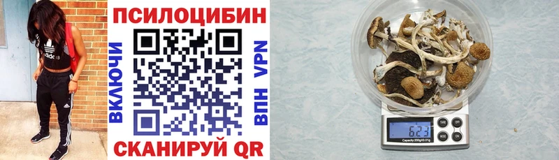 Галлюциногенные грибы Psilocybine cubensis Суздаль